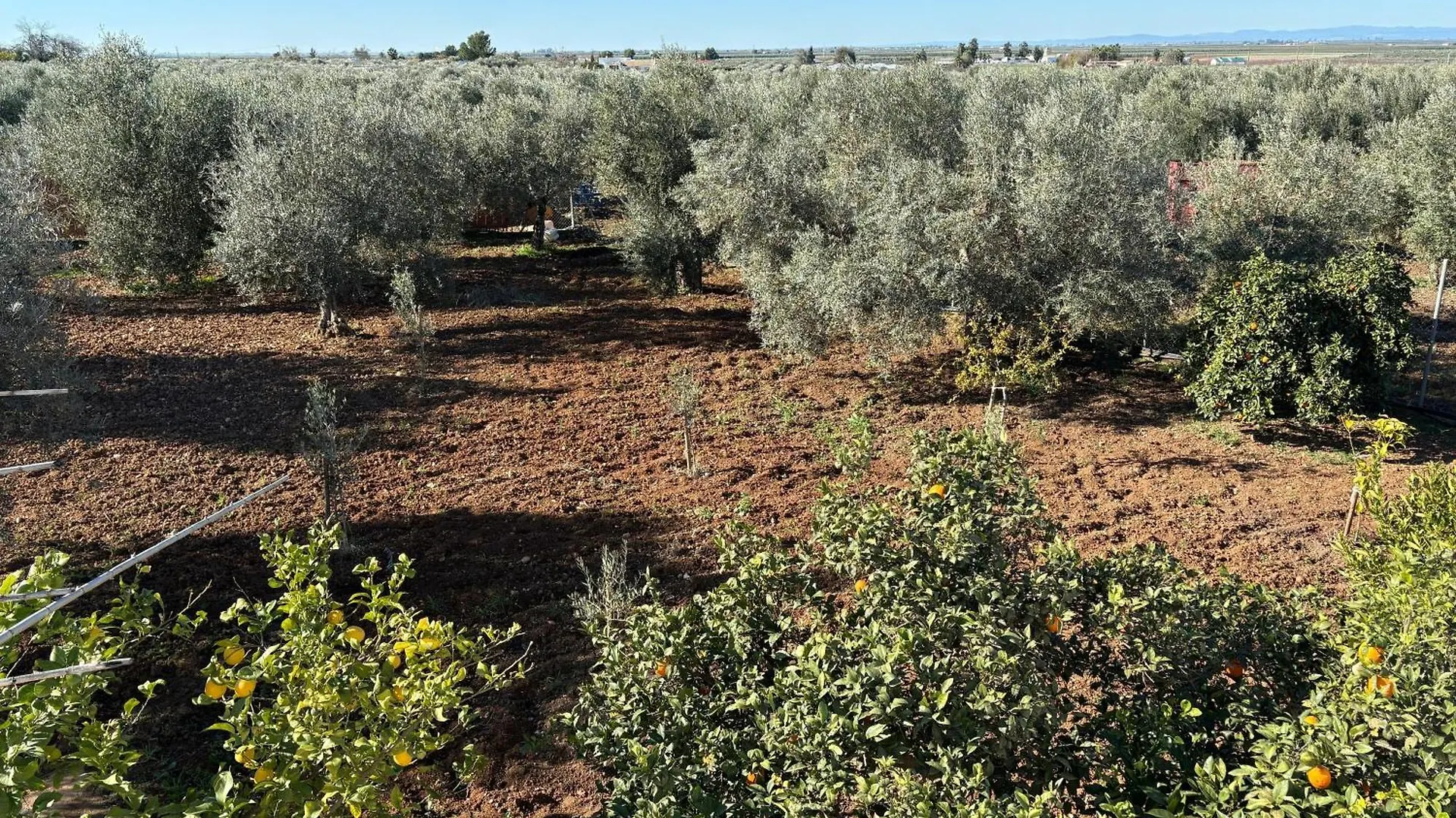Casa Rural Los Girasoles Cordoba Spain