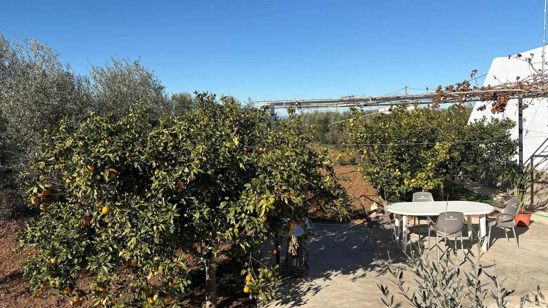 Casa Rural Los Girasoles Κόρδοβα Σπίτι διακοπών